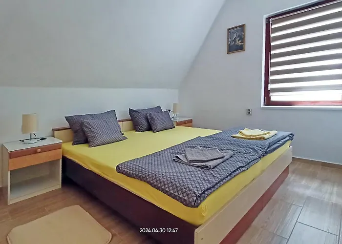 Duric Donji Milanovac